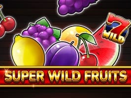 Super Wild Fruits screenshot